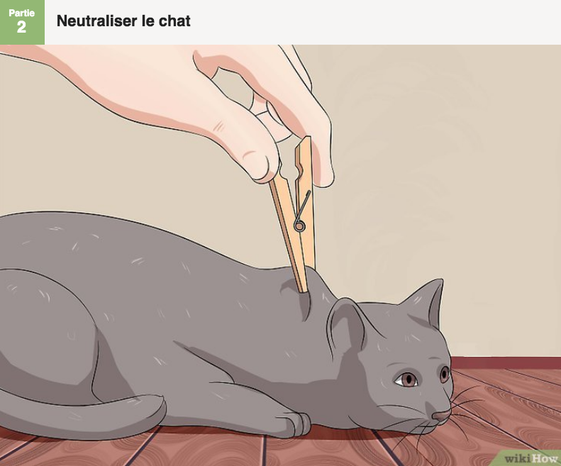 Comment tondre un chat (avec images) - wikiHow